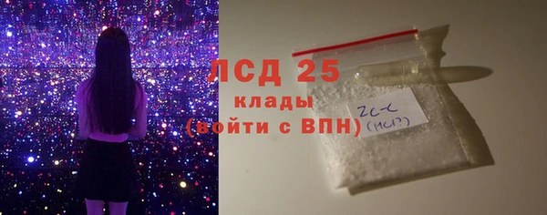 прущие грибы Абаза