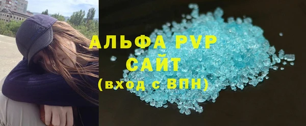 прущие грибы Абаза