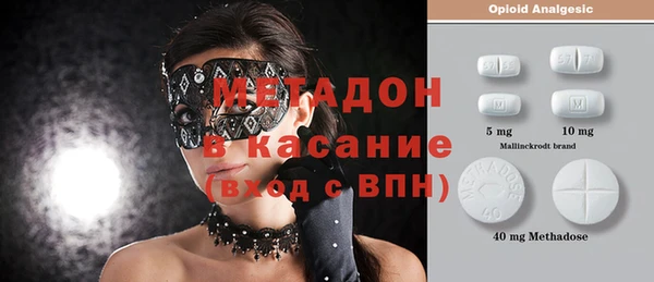 прущие грибы Абаза