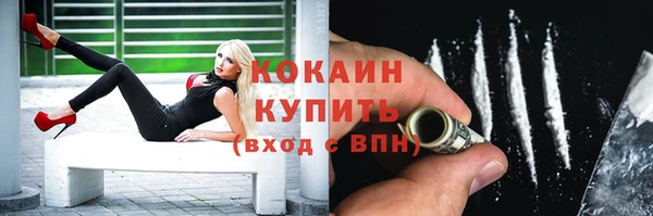 прущие грибы Абаза