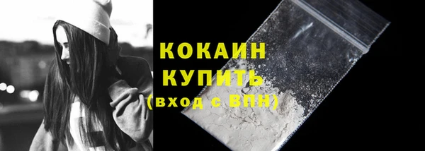 прущие грибы Абаза