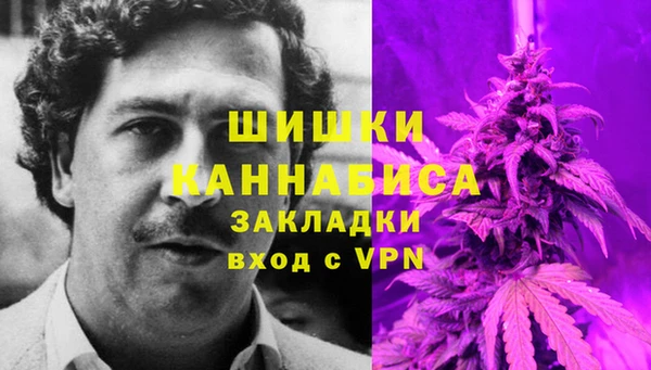 прущие грибы Абаза