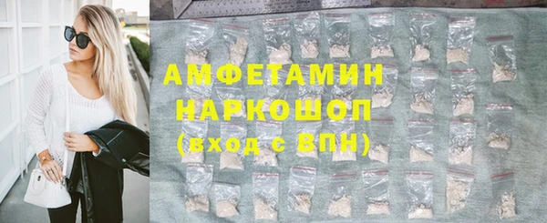 прущие грибы Абаза