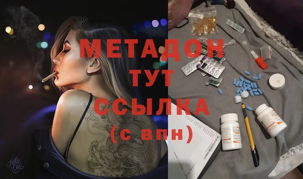 прущие грибы Абаза