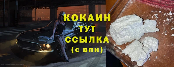 прущие грибы Абаза
