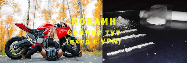 прущие грибы Абаза